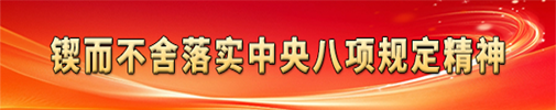 中央八项规定精神